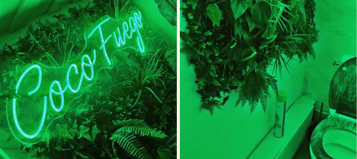 Coco Fuego - Gallery Image 5